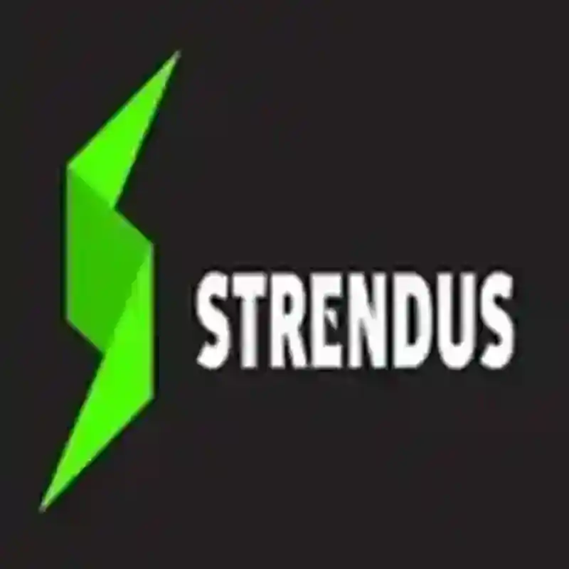 Qué hace a Strendus tan especial Strendus